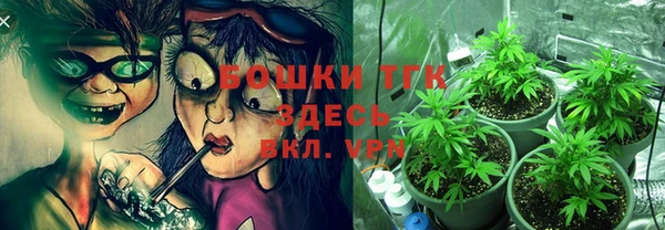 экстази Алексин