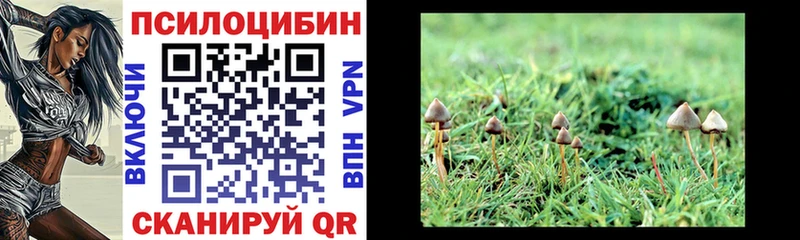 что такое наркотик  Орёл  нарко площадка как зайти  Псилоцибиновые грибы GOLDEN TEACHER 